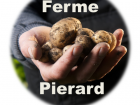 FermePierard_image_640x480_michelnormanpierard_ferme-pierard-logo.png